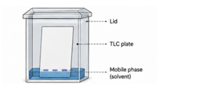 Sealed HPTLC development chamber lined with filter paper and saturated with mobile phase vapour